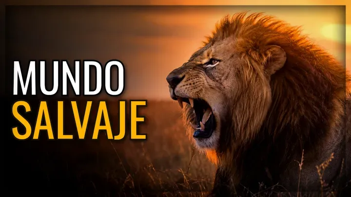 Mundo salvaje · NatGeo
